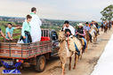 IMG_9188-Medium.jpg