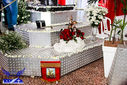 IMG_9232-Medium.jpg