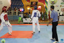 IMG_9667.jpg