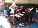 DSC03229.jpg