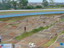 DSC03268.jpg