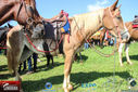 IMG_1839-3.jpg