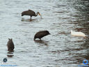 DSC03366.jpg