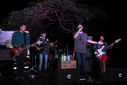 IMG_7247.jpg