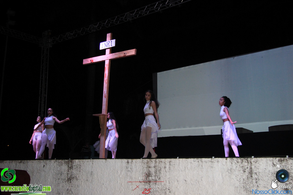 IMG_2667.jpg