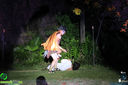 IMG_2567.jpg