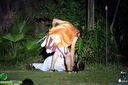 IMG_2568.jpg