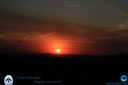 IMG_4933.jpg