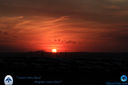 IMG_4947.jpg