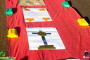 IMG_9527.jpg