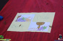 IMG_9797.jpg