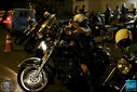IMG_9574.jpg