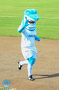 IMG_8778.jpg