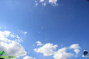 IMG_6546.jpg