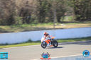 JIMG_0745.jpg