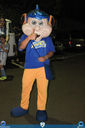 IMG_8345.jpg