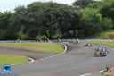 IMG_4166.jpg