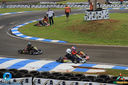 IMG_4548.jpg