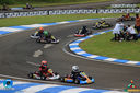 IMG_4560.jpg