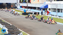 IMG_4666.jpg
