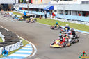 IMG_4667.jpg