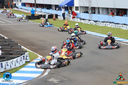 IMG_4696.jpg