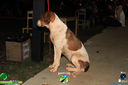 IMG_6777.jpg
