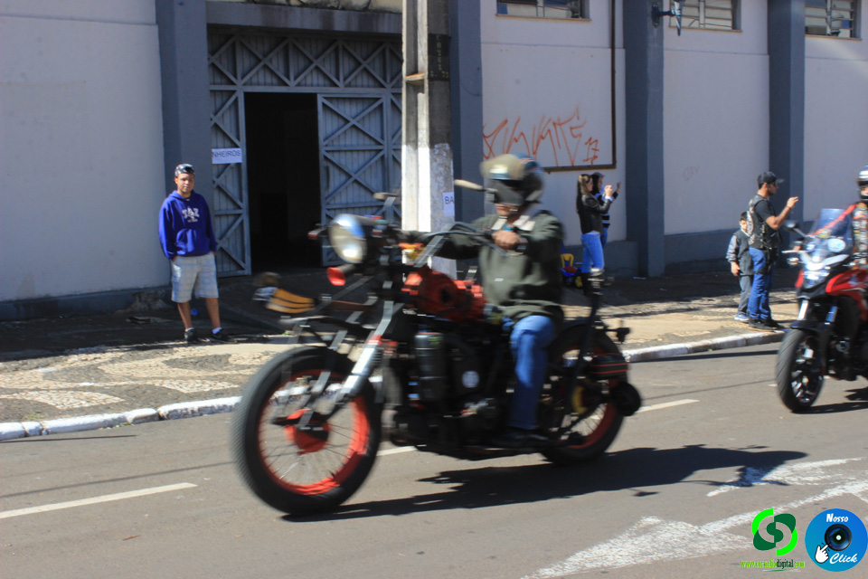 IMG_8151.jpg