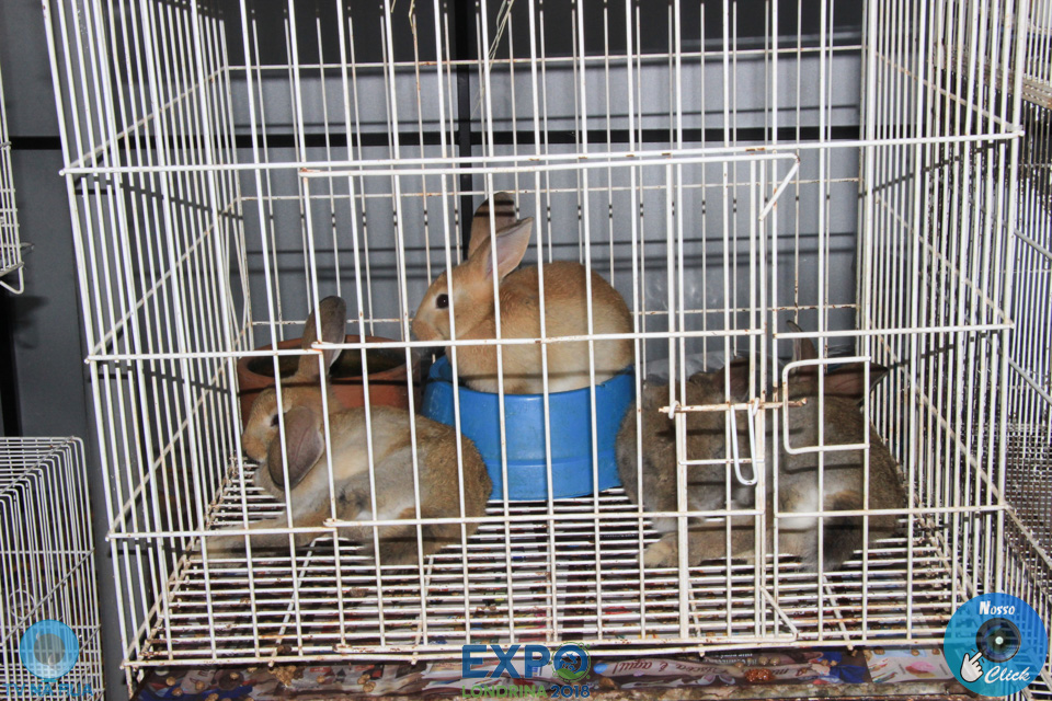 IMG_7923.jpg