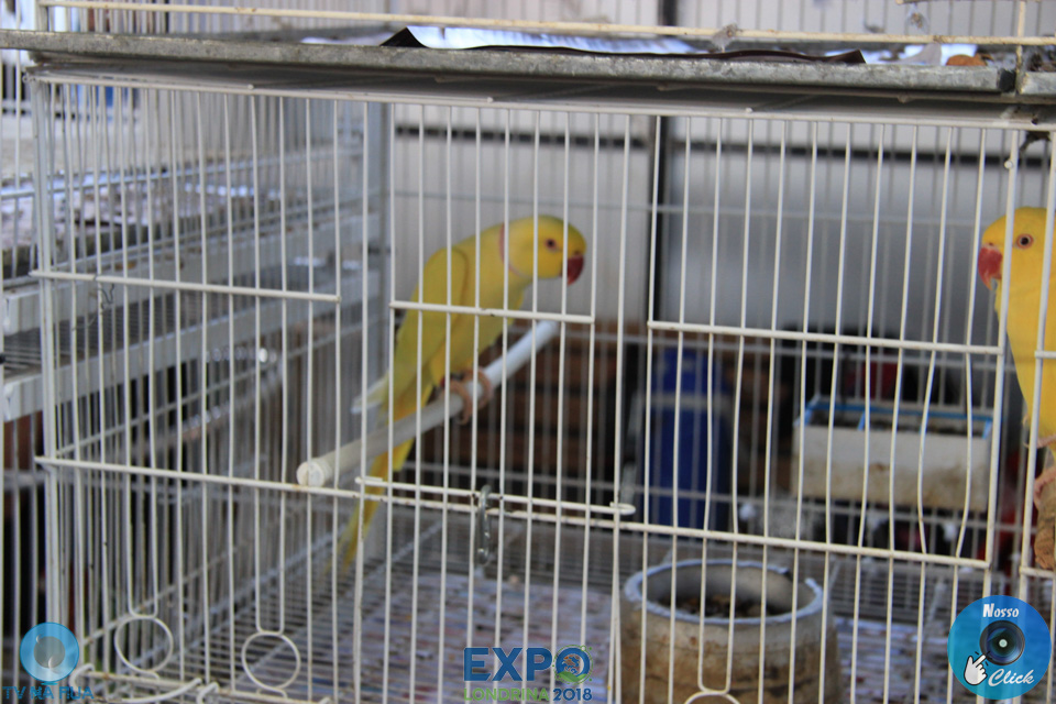 IMG_7929.jpg