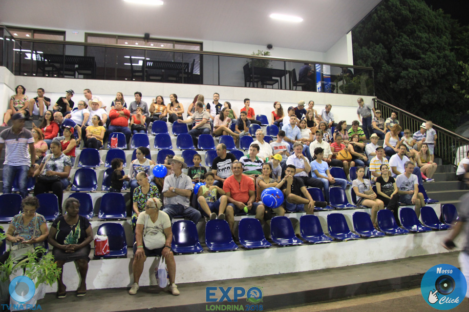 IMG_8178.jpg