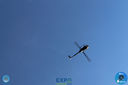 IMG_7772.jpg
