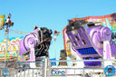 IMG_7795.jpg