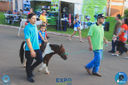 IMG_7868.jpg