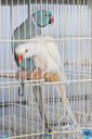 IMG_7937.jpg