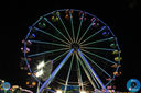 IMG_8009.jpg
