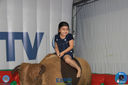 IMG_8227.jpg