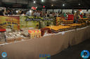 IMG_8260.jpg