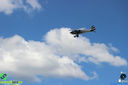 IMG_6366.jpg