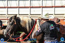 11-03-2018_Cavalgada_Expo_Londrina_071.jpg