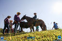 11-03-2018_Cavalgada_Expo_Londrina_074.jpg