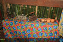 IMG_8952.jpg