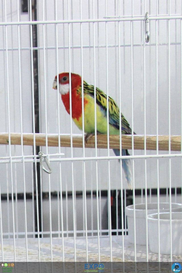 IMG_0083.jpg