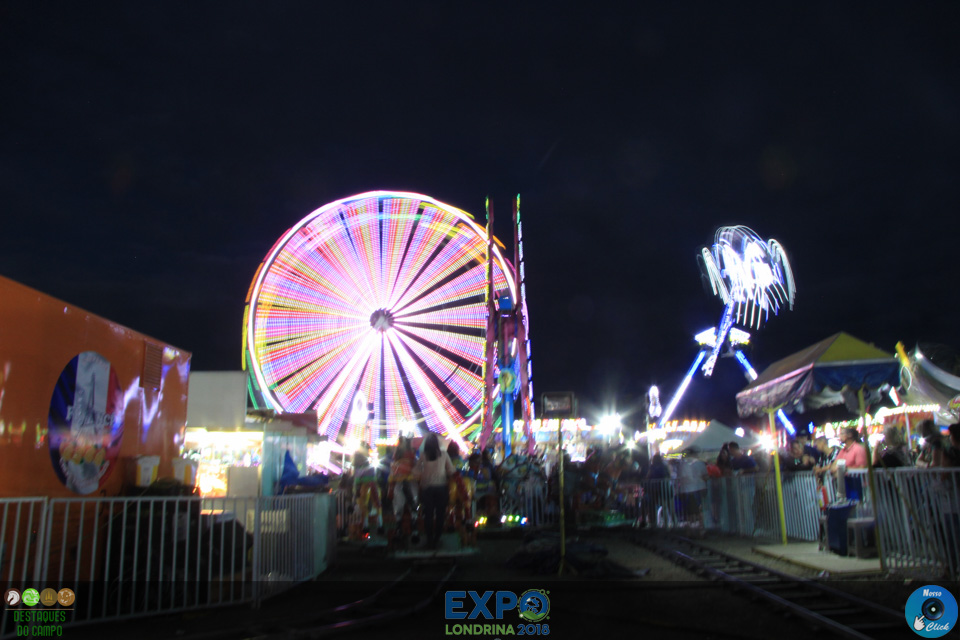 IMG_0350.jpg