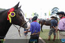 15-04-2018_ExpoLondrina_Final_do_Hipismo_12.jpg