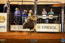 15-04-2018_ExpoLondrina_Final_do_Rodeio_033.jpg