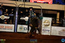 15-04-2018_ExpoLondrina_Final_do_Rodeio_041.jpg