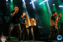 IMG_2203.jpg