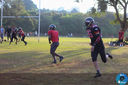 IMG_7096.jpg