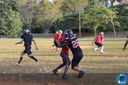 IMG_7115.jpg